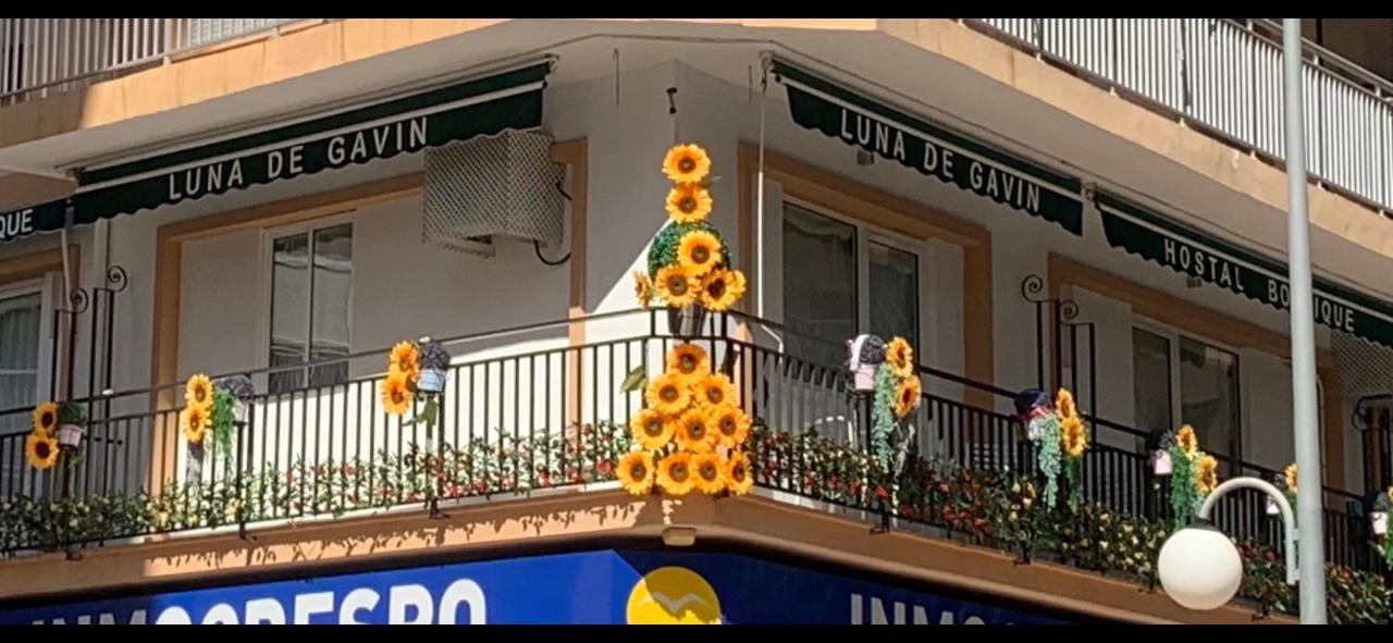 Hostal Boutique Luna de Gavín Cullera Exterior foto